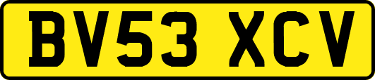 BV53XCV