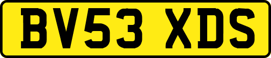 BV53XDS
