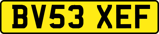 BV53XEF