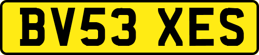 BV53XES