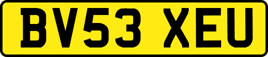 BV53XEU