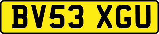 BV53XGU