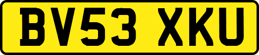 BV53XKU