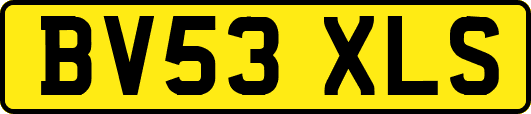 BV53XLS