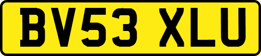 BV53XLU