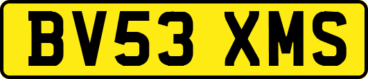 BV53XMS