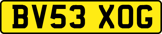 BV53XOG