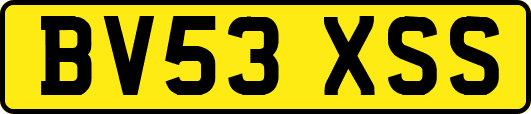 BV53XSS