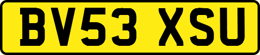 BV53XSU