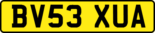 BV53XUA