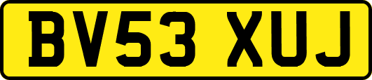 BV53XUJ