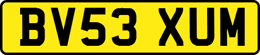 BV53XUM