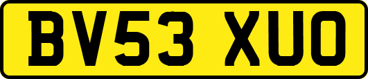 BV53XUO
