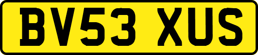 BV53XUS