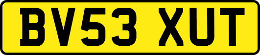 BV53XUT