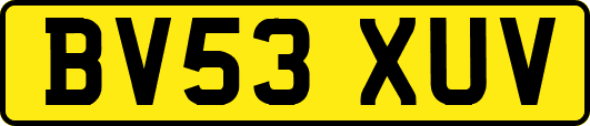 BV53XUV