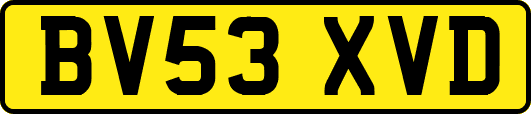 BV53XVD