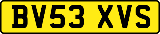 BV53XVS