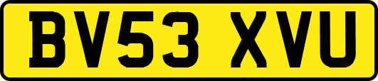 BV53XVU