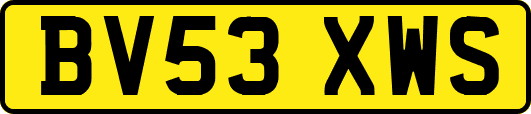 BV53XWS