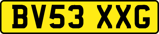 BV53XXG