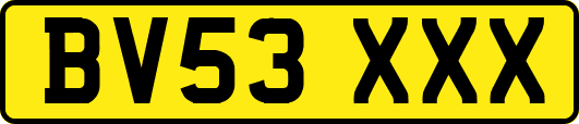 BV53XXX