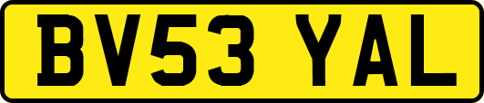 BV53YAL