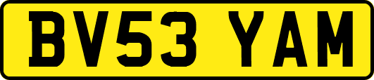 BV53YAM