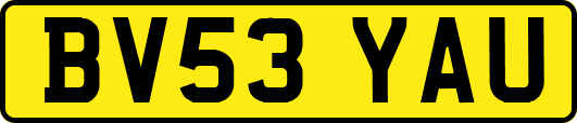 BV53YAU