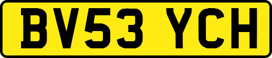 BV53YCH