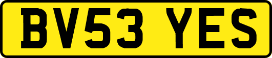 BV53YES