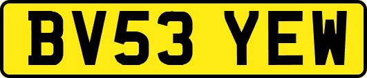 BV53YEW