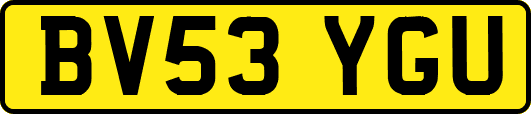BV53YGU