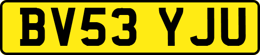 BV53YJU