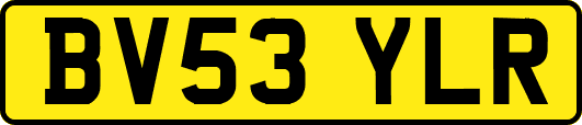 BV53YLR