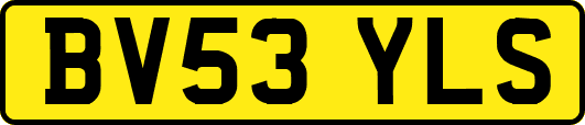 BV53YLS