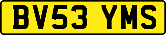BV53YMS