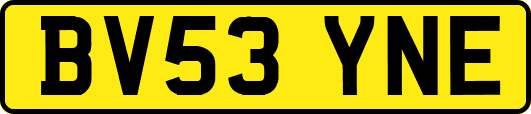 BV53YNE