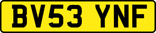 BV53YNF