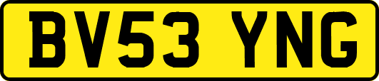 BV53YNG