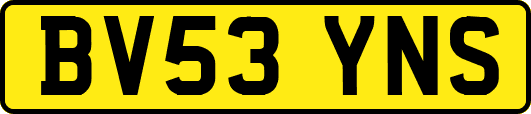 BV53YNS