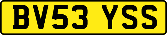 BV53YSS