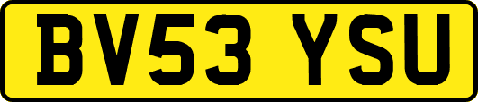 BV53YSU