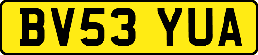 BV53YUA