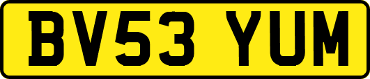 BV53YUM