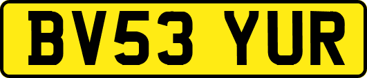 BV53YUR