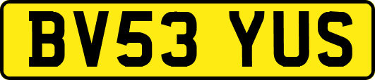 BV53YUS