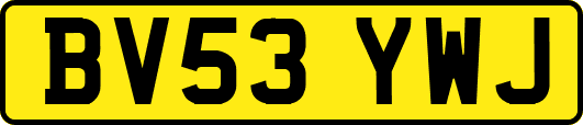 BV53YWJ