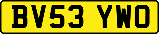 BV53YWO