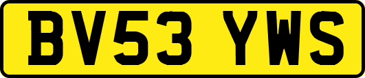 BV53YWS